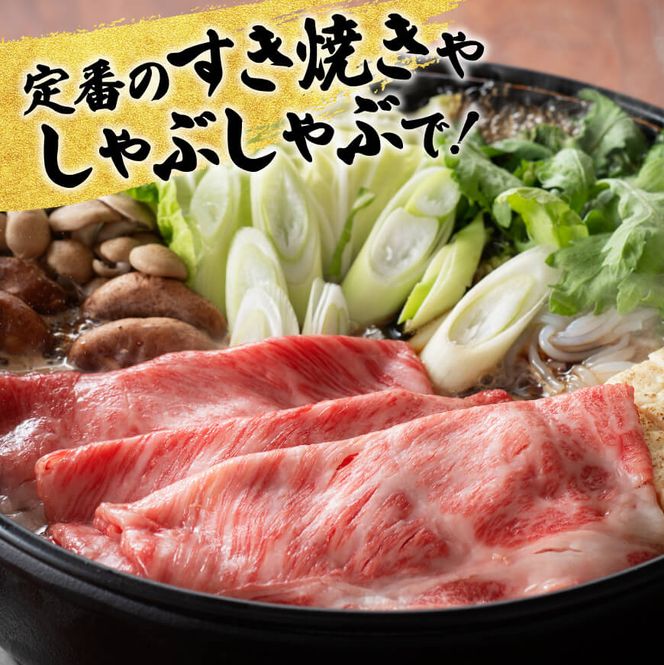 【6ヶ月定期便】 宮崎牛用途別便A【肉 牛肉 国産 宮崎県産 宮崎牛 黒毛和牛 和牛 焼肉 BBQ ステーキ すき焼き しゃぶしゃぶ 焼きしゃぶ 4等級  A4ランク 肩ロース ウデ モモ E11130】