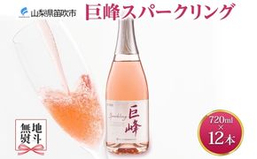 《無地熨斗 対応可》巨峰スパークリング 720ml×12本 177-4-073