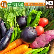 【3回定期便】旬の京野菜　毎月お届けレギュラーコース（全3回）≪京都 丹波 野菜 ふるさと納税野菜≫ ※沖縄・離島・諸島へのお届け不可