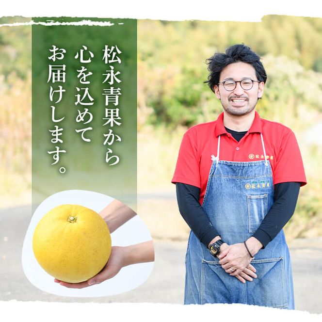 数量限定！鹿児島県阿久根市産ボンタン(計4kg) 国産 ぼんたん 文旦 果物 くだもの フルーツ 柑橘【松永青果】akn053-01