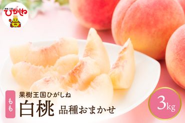 白桃品種おまかせ 約3kg(7～12玉入)　晴天畑提供　hi004-hi026-028