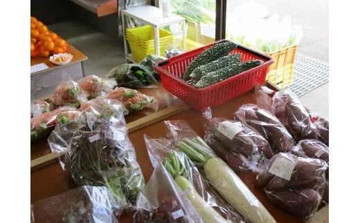 椎茸 原木栽培 しいたけパウダー 3袋 大分県豊後高田市産 隠し味 出汁 だし 健康 シイタケ 粉末 B2-37