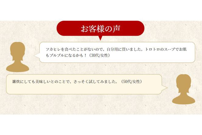 濃縮ふかひれスープ 5袋セット [石渡商店 宮城県 気仙沼市 20563406] 