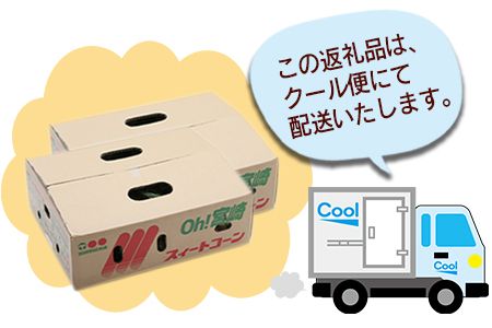 数量限定【2026年発送】＜宮崎県産 スイートコーン 約9kg（約4.5kg×2箱）＞2026年5月下旬～6月中旬迄に順次出荷【 先行予約 穀物 野菜 甘い 季節限定 とうもろこし おやつ ご飯 スープ サラダ BBQ 屋台 】【a0451_ja】
