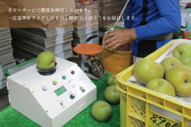 ★先行予約★ 【2026年8月発送】仁平果樹園の梨 「幸水」5kg (8個～16個) (8月中旬より順次配送) | 果物 新鮮 フルーツ ギフト 梨 ナシ 益子町産梨 甘い あまい 糖度11.5以上 糖度保証 果汁 果肉 栃木県 益子町 (DB001)