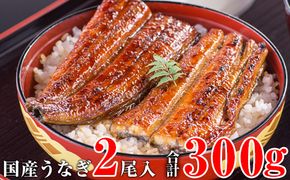 247.【うなぎ屋かわすい】国産うなぎ蒲焼き大サイズ２本セット(A247-2)