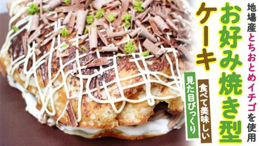 お好み焼き型ケーキ[AT002ci]