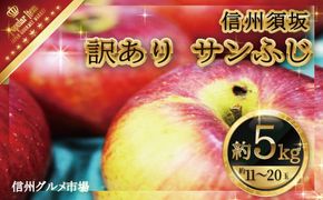 訳あり サンふじ約5kg（約11～20玉）家庭用《信州グルメ市場》■2024年～2025年発送■※11月中旬頃～1月下旬頃まで順次発送予定