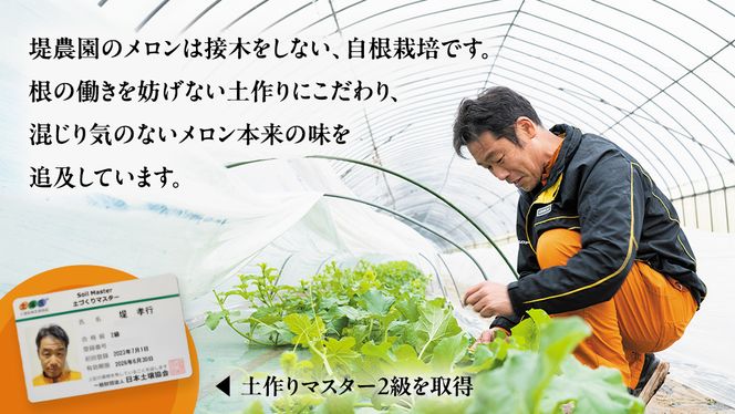 先行予約 ほのかメロン 秀品（ 赤肉 ） 4玉 ～ 5玉 ( 2L ～ 3L  )【 6月上旬 以降発送】  メロン 果物 フルーツ 甘い 茨城県 茨城県産 期間限定 数量限定 産地直送 農家直送 [AV001ya]