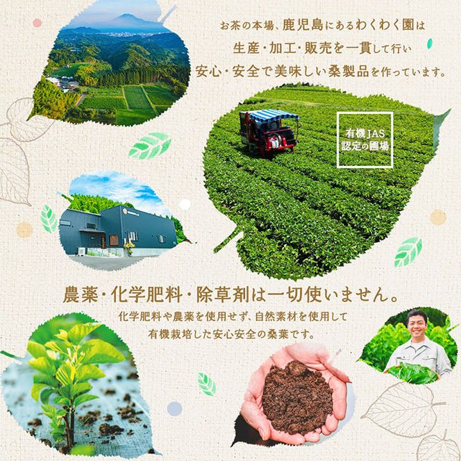  a927 菊芋桑茶120包セット(60包入り×2袋) 菊芋 スーパーフード 桑の葉 くわ 天然100％ 有機 桑の葉【わくわく園】