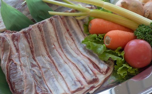 カラダ喜ぶ鹿肉のシチュー400g×2袋【41001】