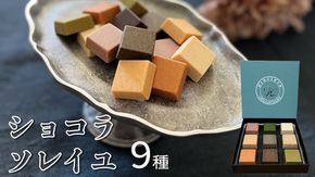 【令和5年1月から発送開始】 ショコラソレイユ 9種 チョコレート チョコ スイーツ デザート 高級 ギフト 贈り物 お礼 プレゼント 手土産 お菓子 [DJ07-NT]