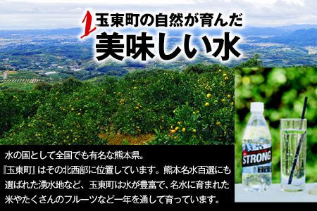 【6か月定期便】強炭酸水6箱（計6回お届け 合計6ケース: 500ml×144本）《お申込み月の翌月から出荷開始》強炭酸水 熊本県玉東町産の水を使用! クリアで爽快な喉越し！くまもと風土の強炭酸水★ストロング炭酸水 ふるさと納税 熊本県 玉東町 炭酸水 水 強炭酸 送料無料 便利 ダイエットしたい方に スポーツ お酒割---fn_gsttei_12l_42000_mo6num1---