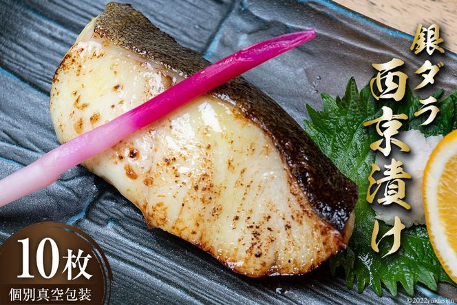 y}sẑ _ Ђ 70g×10 ʐ^ [ۏGNX  }s 21760698]   ^ L ₾ g