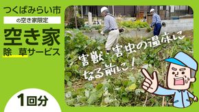 空き家除草サービス【1回分】 管理 見守り 代行 点検 [BB05-NT]