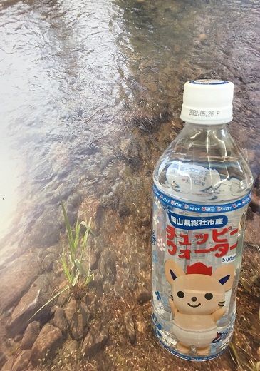 【定期便】そうじゃの水「チュッピーウォーター」（500ml×24本）〔3回配送〕036-002