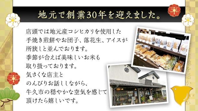 うす焼き煎餅詰め合わせ（72枚入り） せんべい セット 薄焼き コシヒカリ 手焼き ごま えび あおさ 醤油 4種類 [AE006us]