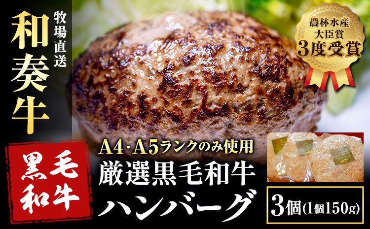 厳選くまもと黒毛和牛ハンバーグ 3個 (1個150g)[30日以内に出荷予定(土日祝除く)]熊本県 大津町 和牛焼肉LIEBE くまもと黒毛和牛 ハンバーグ 冷凍 リーベ---so_fliekrham_30d_24_10000_3p---