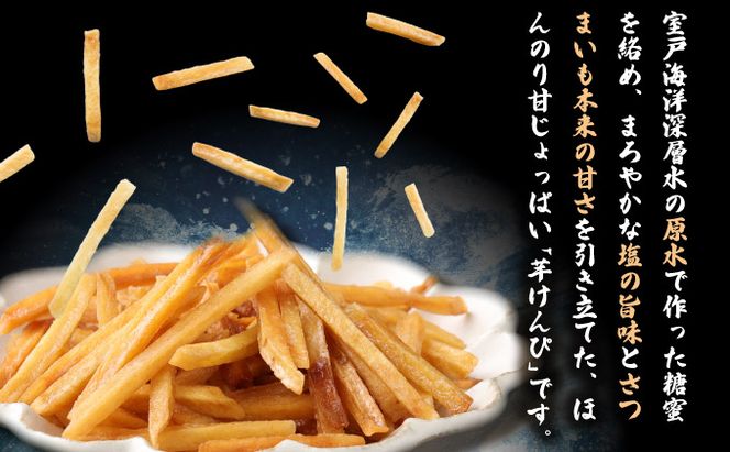 塩けんぴ（芋けんぴ） 12袋 小分け セット （105g×12袋) 【室戸