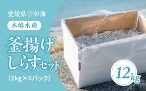 【愛媛県・佐田岬直送】木嶋水産の釜揚げしらす 12kg（2kg×6パックセット）｜ 魚介類 海産物 魚 釜揚げ しらす シラス 小分け やみつき ご飯のお供 おつまみ 酒の肴 おやつ しらす丼 サラダ 海産物 魚 冷凍 国産 愛媛県産　※離島への配送不可