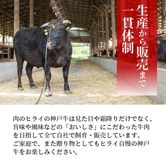 神戸牛赤身焼肉(500g)〈 肉 牛肉赤身 神戸牛 焼肉 国産 バーベキュー 和牛美味しい プレゼント ギフト 赤身肉 お取り寄せ 送料無料 おすすめ 〉