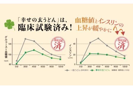 005A075 機能性 玄うどん【5食入り×2P】