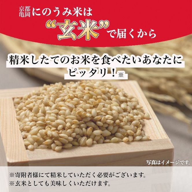 【定期便】【令和6年産先行予約】米 キヌヒカリ 定期便 玄米 10kg×6カ月〈アグリにのうみ〉京都・亀岡産《令和6年産》※北海道・沖縄・離島への配送不可※2024年10月中旬～11月中旬頃に順次発送予定