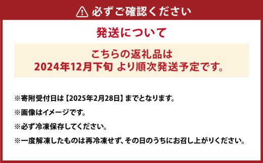 活き締め冷凍車海老250g えび エビ 海老 車海老 車えび 活き締め 250g 7～10尾 冷凍 熊本県 上天草市 【2024年12月下旬から2025年3月下旬まで発送予定】