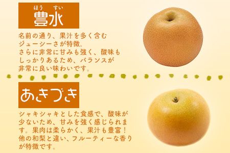 大隅果樹園の玉東梨(旬の品種をお届けします) 約5kg(13-20玉前後) 予約受付中 フルーツ 秋 旬 熊本県玉名郡玉東町 《8月中旬-9月上旬頃出荷》---sg_coosuminasi_g8_25_13000_5kg---
