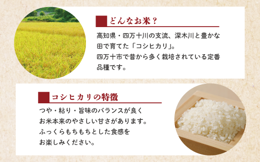 R6-150．【令和6年産新米・早期受付・3回定期便】四万十のこしひかり10kg×3回（合計30kg）【2024年9月より順次配送】