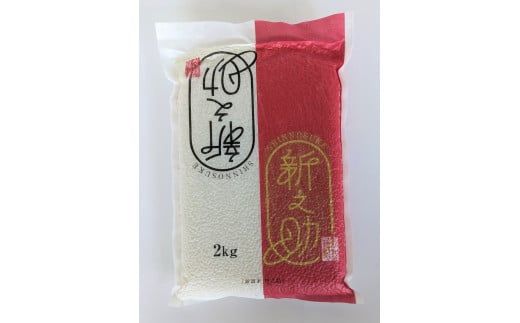 【新米受付・令和8年産米】新潟県村上市 新之助 6kg（2kg×3個）【鮮度直送！精米したてを真空パック】NA4220