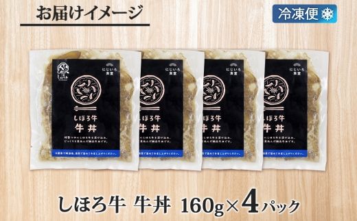 北海道 しほろ牛 牛丼の具 160g×4パック セット 牛丼 牛肉 国産牛 玉ねぎ ゴボウ 丼 冷凍 時短 簡単 便利 おかず 温めるだけ 道の駅 ピア21しほろ 送料無料 十勝 士幌町 【L45】
