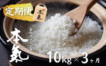 【島のお米の定期便】計30kg！本氣米10kg×3か月定期便