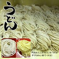 158-1061-009　門真れんこんうどん（生・10玉）・平うちめん（茹で・10玉）