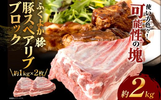 ycszӂ悩؃XyAuubNJbg22kg ؃XyAuubN v2kgi1kg×2j ؃XyAu ؓ u^ Ԃ  ubN  XyAu ӂ悩 BBQ ύݗ AEghA ①