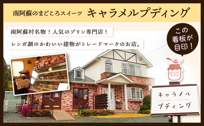 プリン 南阿蘇のプリン専門店 キャラメルプディング 人気プリン3種×3個セット 計9個お届け《60日以内に出荷予定(土日祝を除く)》プリン 南阿蘇こだわりプリン 大人プリン クリーミープリン 手作り 阿蘇小国ジャージー牛乳 お菓子 スイーツ お土産---sms_ckyapudding_60d_r7_14000_9p---