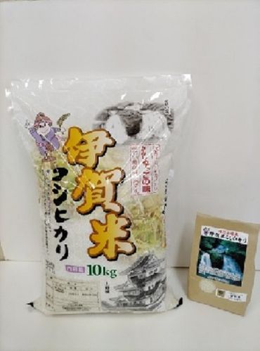 令和5年産伊賀米コシヒカリ　２か月連続発送（白米10Kg＋特別栽培米1kg）