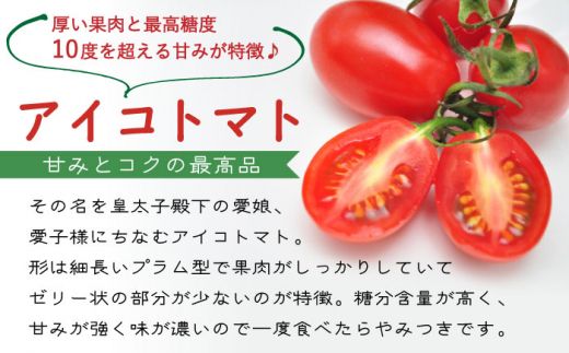 【2026年1月～発送】【完熟ミニトマト】アイコトマト 約1kg / トマト とまと 野菜 / 南島原市 / 長崎県農産品流通合同会社 [SCB039]