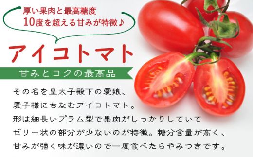 【完熟 ミニトマト】アイコトマト 約 3kg 南島原市 / 長崎県農産品流通合同会社 [SCB052]