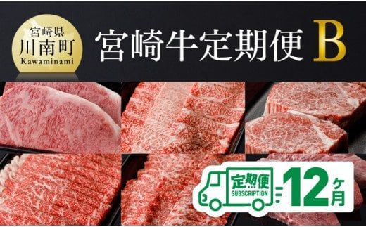 [定期便]宮崎牛12ヶ月定期便B[ 国産九州産 肉 牛 宮崎県産 牛肉 黒毛和牛 ミヤチク 全12回 ][D00676t12]