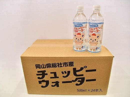 【定期便】そうじゃの水「チュッピーウォーター」（500ml×24本）〔3回配送〕036-002