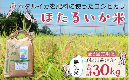 【訳あり】ほたるいか米（無洗米10kg）×3回 計30kg【3ヶ月定期便】