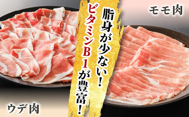 かごしま黒豚　切落し（モモ肉、ウデ肉)　500g×3P　K091-005