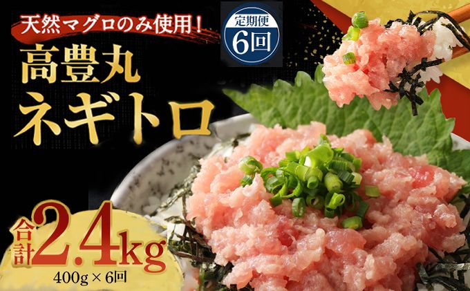 [6回定期便] ネギトロ 合計2.4kg (400g×6回) 天然まぐろ 高品質 まぐろ まぐろたたき まぐろのたたき 訳あり 魚 惣菜 小分け 海鮮丼 手巻き寿司 冷凍 送料無料 故郷納税 室戸のネギトロ 室戸定期便