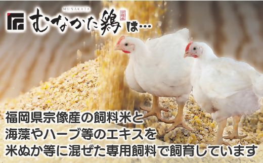 宗像産ブランド鶏【むなかた鶏】モモ肉6kg（平飼い）【JAほたるの里】_HA1415