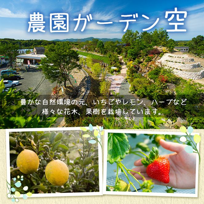 ＜数量限定＞阿久根市産レモン使用！レモンクラフトビール(330ml×6本) お酒 アルコール クラフトビール 果物 フルーツ レモン れもん 檸檬 飲料 飲み物 ドリンク フルーティー ビール【農園ガーデン空】akn026-08