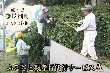 yF{FzF{ Fӂ邳ƐeFssT[rXA---sn_silvercenter_r7_5000_a---