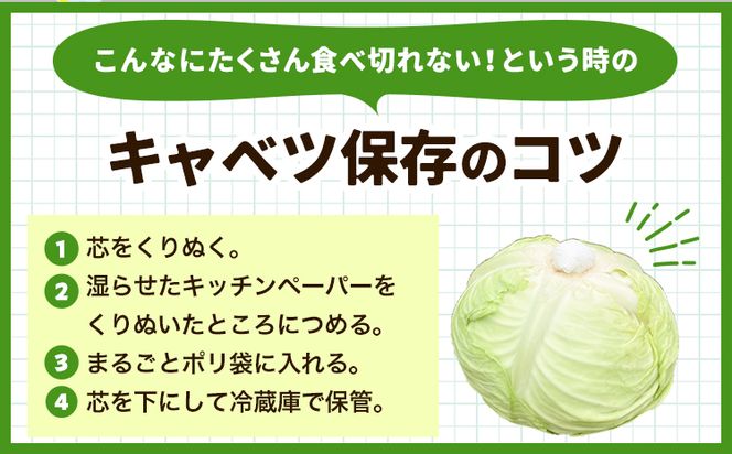 しお風キャベツ 約10kg ( 4～6玉 )《1月中旬-3月末頃出荷予定》キャベツ 野菜 青果物 岡山県 笠岡市---223_731_1c3m_23_8000_10kg---