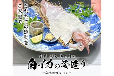 【先行予約】京都　榮元　海工房の白イカの姿造り　EK00001