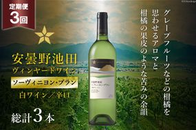 3回 定期便 白ワイン サッポロ グランポレール 安曇野池田ヴィンヤード「ソーヴィニヨン・ブラン」750ml 総計3本 [池田町ハーブセンター 長野県 池田町 48110615] 白 ワイン 辛口 お酒 酒